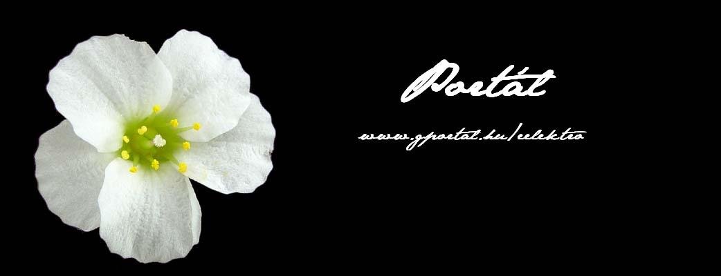Portl